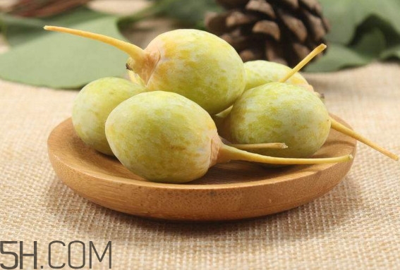 白果沒熟吃了會(huì)怎么樣？白果熟了是什么樣子的