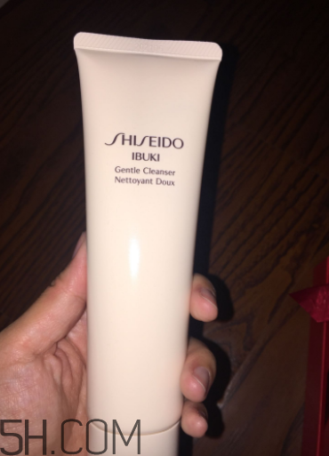 資生堂新漾美肌潔面膏怎么用_產(chǎn)品測評 資生堂新漾美肌潔面膏怎么用_產(chǎn)品測評