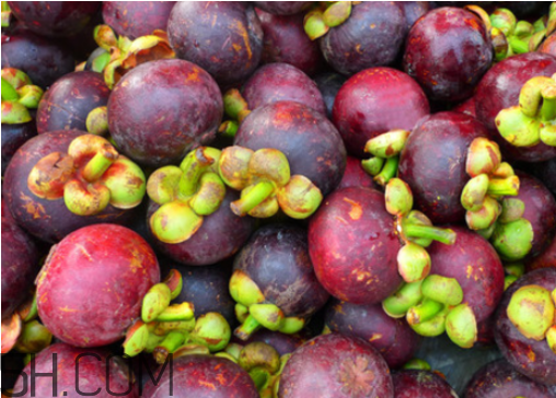 山竹苦的能吃嗎？山竹和芒果可以一起吃嗎？