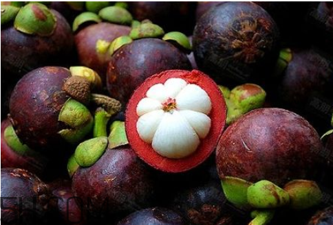 山竹吃多了有什么壞處？秋天吃山竹上火嗎？