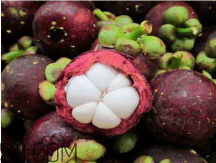 山竹和哪些食物相克？山竹的熱量高嗎？