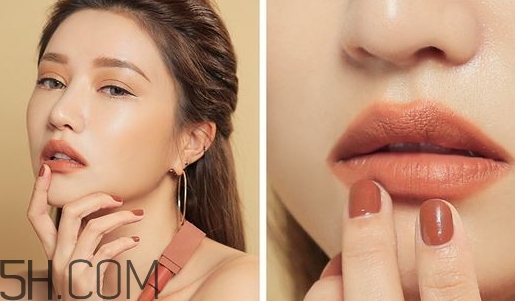 焦糖色口紅是什么顏色？焦糖色口紅試色