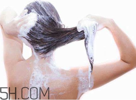 醋洗頭是白醋還是陳醋？用醋洗頭要用洗發(fā)水嗎？