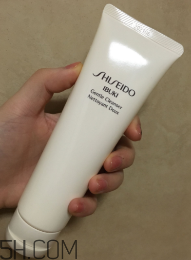 資生堂新漾美肌潔面膏怎么用_產(chǎn)品測評 資生堂新漾美肌潔面膏怎么用_產(chǎn)品測評