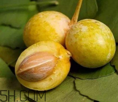 白果沒熟吃了會(huì)怎么樣？白果熟了是什么樣子的