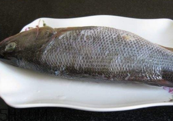 鮭魚是三文魚嗎？鮭魚的營養(yǎng)價(jià)值