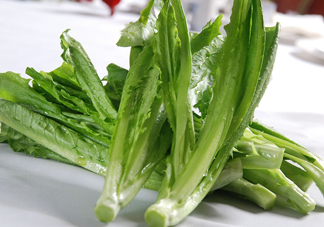 油麥菜為什么叫油麥菜？油菜和油麥菜的區(qū)別