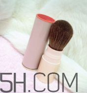 資生堂心機(jī)彩妝臻采腮紅色號(hào)_多少錢(qián) 資生堂心機(jī)彩妝臻采腮紅色號(hào)_多少錢(qián)