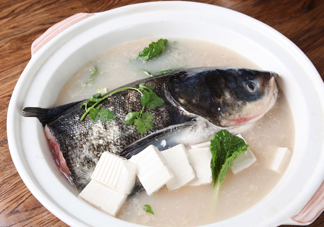 手術(shù)后可以吃胖頭魚(yú)嗎？胖頭魚(yú)不能和什么一起吃