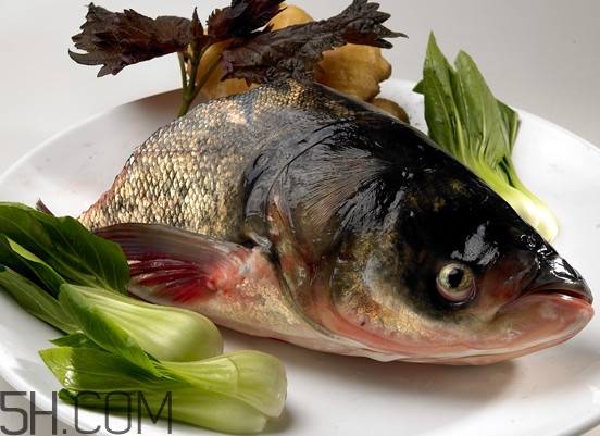 胖頭魚有什么營養(yǎng)？胖頭魚是鰱魚嗎