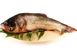 胖頭魚(yú)可以做魚(yú)丸嗎？胖頭魚(yú)可以做酸菜魚(yú)嗎