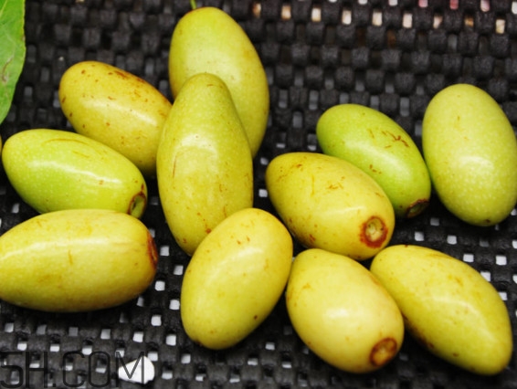 鮮棗營(yíng)養(yǎng)價(jià)值有多高？鮮棗不能和什么一起吃