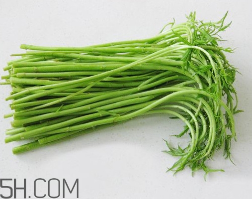 藜蒿孕婦能吃嗎？藜蒿不能和什么一起吃