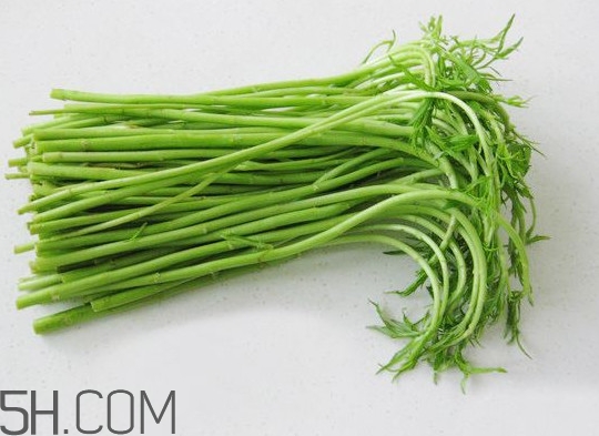 藜蒿多少錢一斤？藜蒿和蘆蒿是同一種菜嗎？