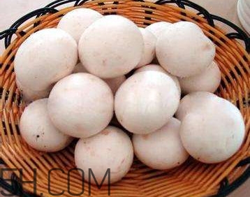 口蘑的口字是怎么來的？口蘑怎么清洗