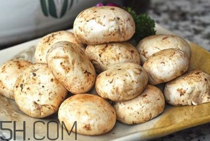 口蘑能放幾天？口蘑能放冰箱嗎