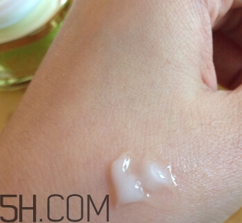 百雀羚面霜價(jià)格是多少？百雀羚面霜多少錢(qián)？