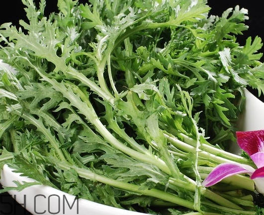 皇帝菜是什么樣子？皇帝菜又叫什么菜