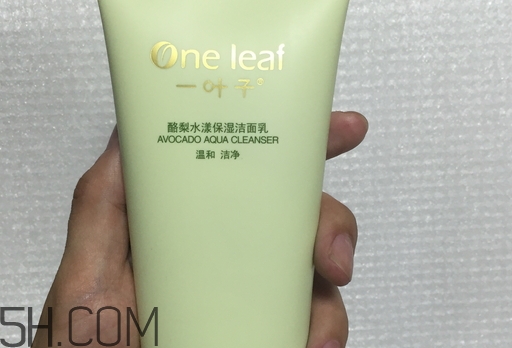 一葉子洗面奶怎么樣_一葉子洗面奶好用嗎 一葉子洗面奶怎么樣_一葉子洗面奶好用嗎