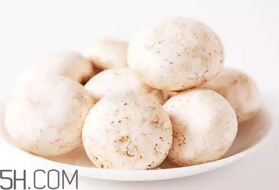 口蘑怎么挑選？口蘑有毒嗎