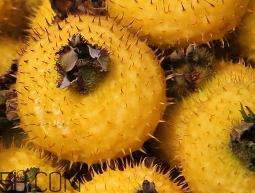 刺梨是酸性還是堿性？刺梨是涼性還是熱性