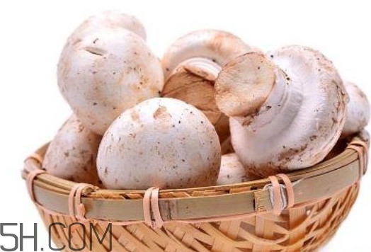 口蘑的口字是怎么來的？口蘑怎么清洗