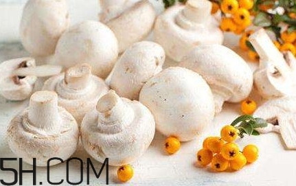 口蘑怎么吃？口蘑不能和什么一起吃