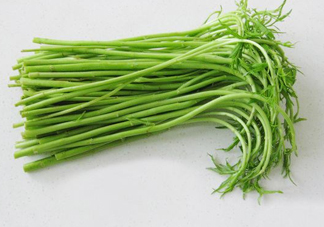 藜蒿多少錢一斤？藜蒿和蘆蒿是同一種菜嗎？