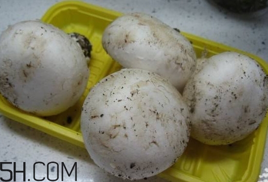 口蘑多少錢一斤？口蘑怎么保存