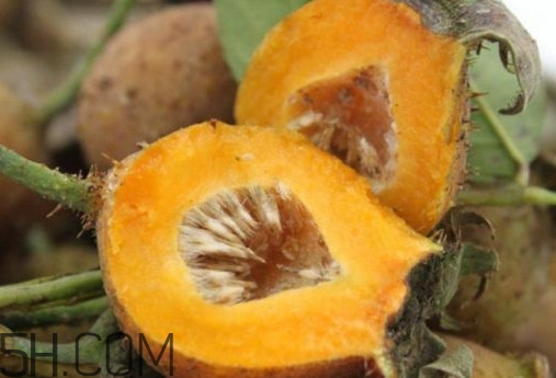 刺梨是酸性還是堿性？刺梨是涼性還是熱性