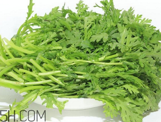 皇帝菜與什么煲湯好吃？皇帝菜性寒嗎