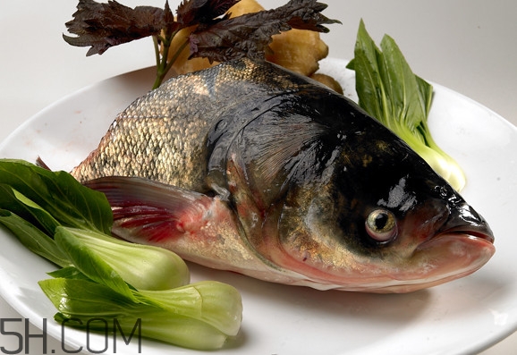 胖頭魚(yú)吃什么？胖頭魚(yú)怎么殺