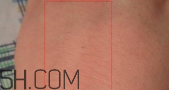 泊美塑采亮眼霜怎么樣？泊美塑采亮眼霜好用嗎？