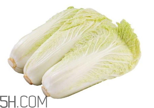 娃娃菜熱量是多少？娃娃菜為什么叫娃娃菜