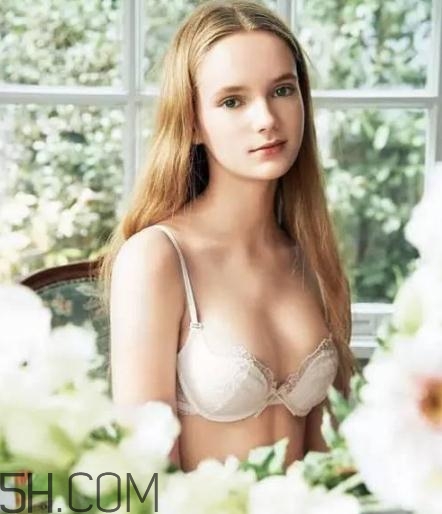 華歌爾內(nèi)衣怎么樣？華歌爾和黛安芬哪個(gè)好？