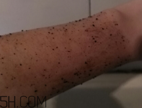 澳洲body咖啡身體磨砂膏怎么樣？多少錢？