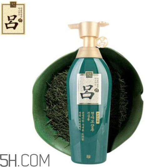 綠呂洗發(fā)水怎么樣？綠呂洗發(fā)水適合人群