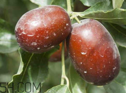 若羌紅棗多少錢一斤 2017若羌紅棗多少錢一斤 若羌紅棗多少錢一斤 2017若羌紅棗多少錢一斤