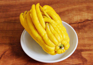 佛手柑怎么種植？佛手柑和香橙味道一樣嗎