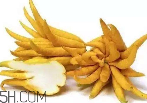 佛手柑是佛手瓜嗎？佛手柑和佛手瓜的區(qū)別