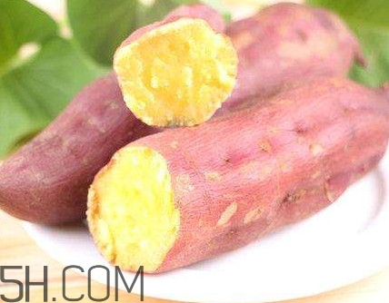 板栗紅薯什么時候成熟？板栗紅薯好吃嗎