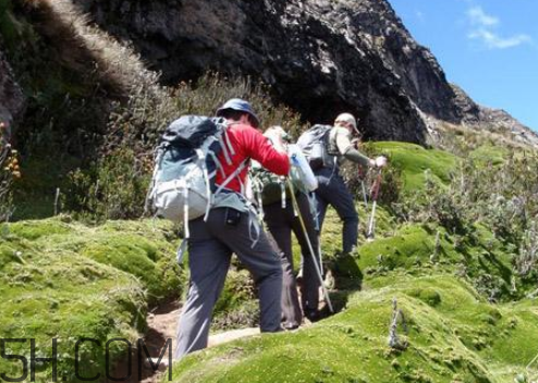 爬山后腿部酸痛怎么辦？如何防止爬山后腿疼？