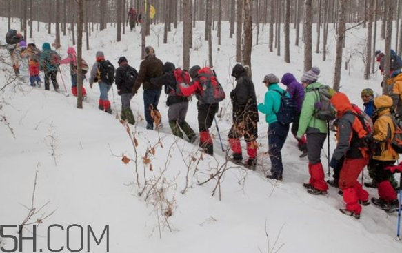 老年人爬山好嗎？下雪可以爬山嗎？