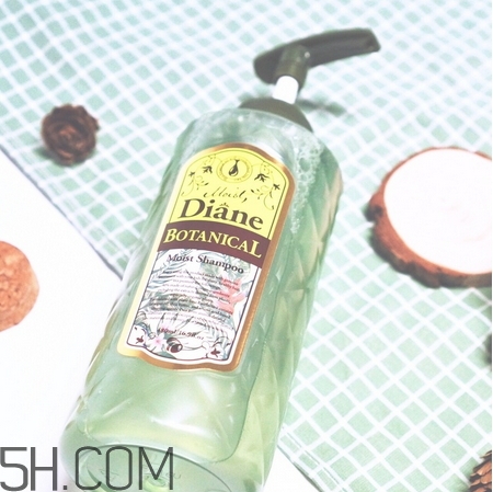 黛絲恩洗發(fā)水怎么樣_黛絲恩洗發(fā)水好用嗎 黛絲恩洗發(fā)水怎么樣_黛絲恩洗發(fā)水好用嗎