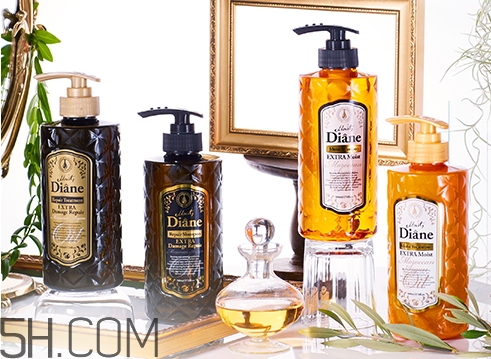 黛絲恩洗發(fā)水怎么樣_黛絲恩洗發(fā)水好用嗎 黛絲恩洗發(fā)水怎么樣_黛絲恩洗發(fā)水好用嗎