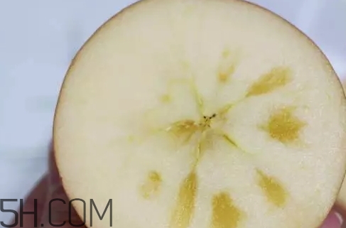 冰糖心蘋果什么時候采摘？冰糖心蘋果什么時候上市