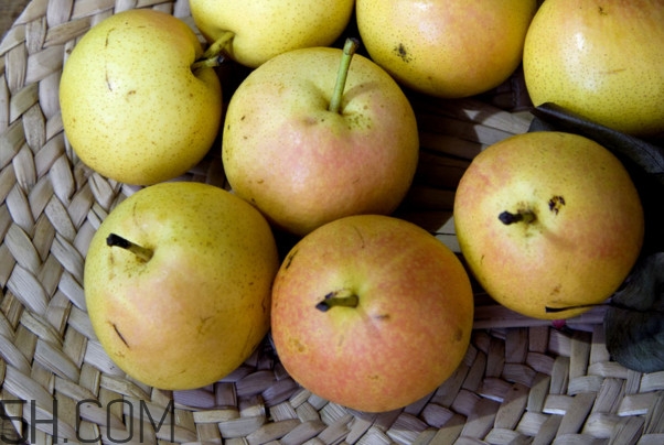 沒(méi)有熟透的南果梨能吃嗎？南果梨怎么做酒