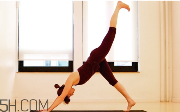 練瑜伽能排毒嗎？瑜伽可以天天練嗎？