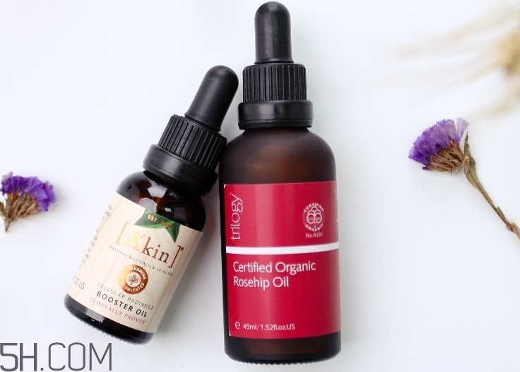 akin玫瑰果油和trilogy玫瑰果油哪個好_對比 akin玫瑰果油和trilogy玫瑰果油哪個好_對比