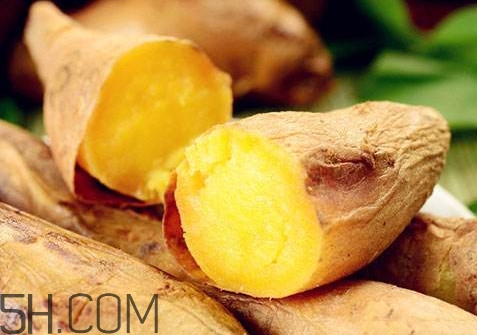 紅薯是蒸的好還是煮的好？紅薯是根還是莖